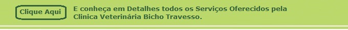 Veterinrio 24 horas na cidade de Itapema.