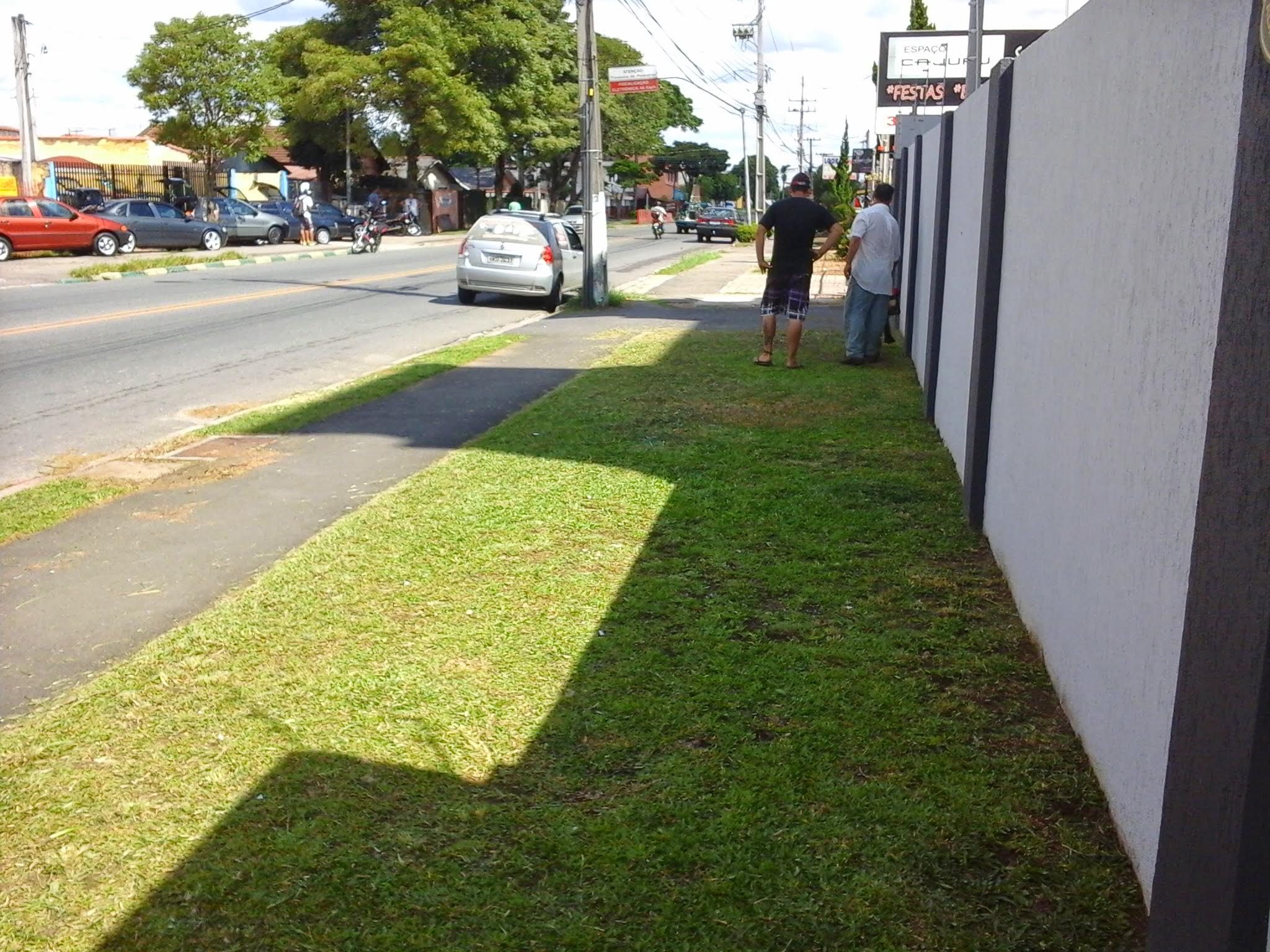  PODA EM UM PEQUENO SERVIO DE JARDINAGEM EMPINHAIS